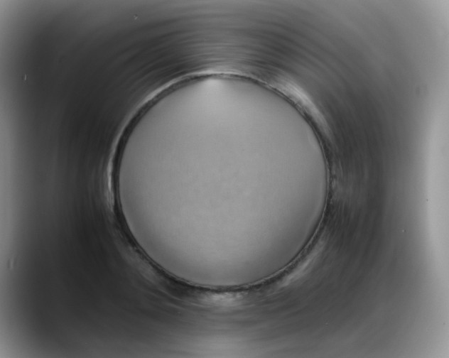 X0000088190892200705292010