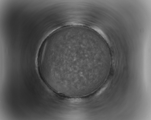 X0000088190893200705292010