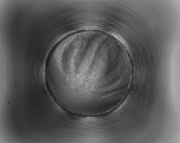 X0000088190894200705292010