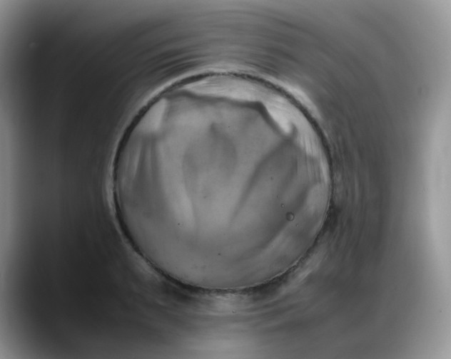 X0000088190895200705292010