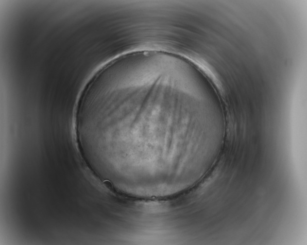 X0000088190896200705292010