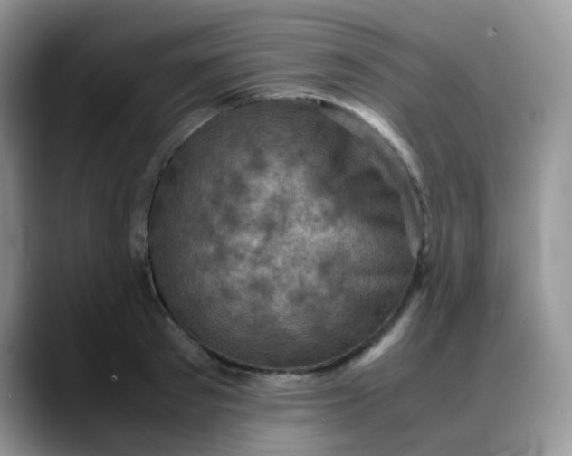 X0000088190897200705292010