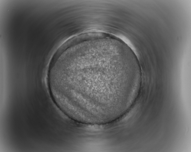 X0000088190901200705292010