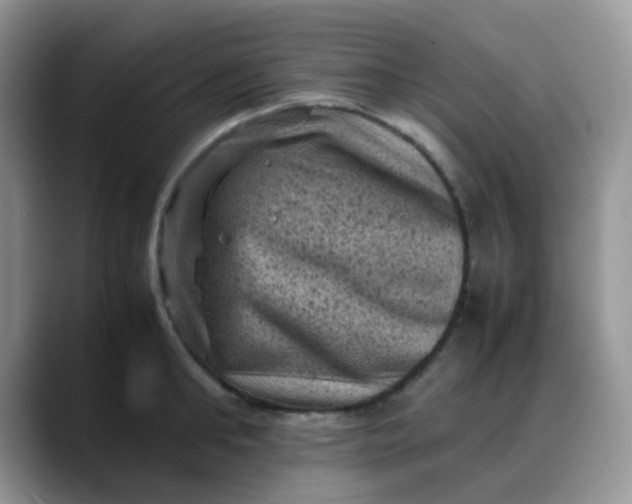 X0000088190902200705292009