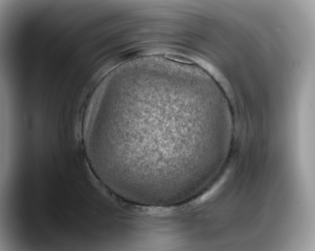 X0000088190905200705292009