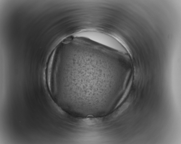 X0000088190906200705292009