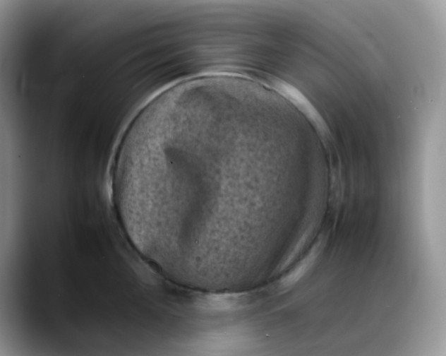X0000088190908200705292009