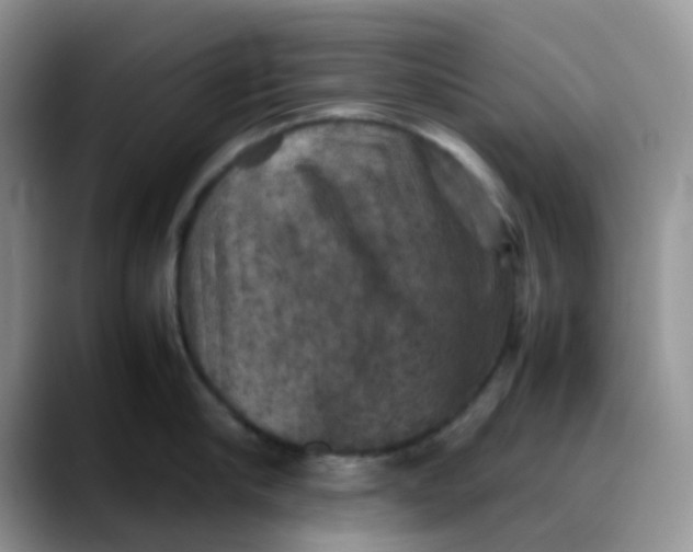 X0000088190910200705292009