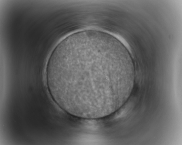 X0000088190911200705292009