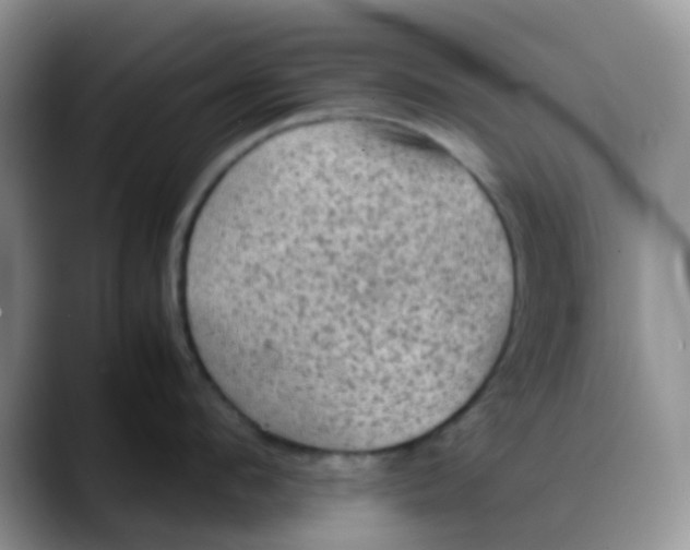 X0000088190912200705292009