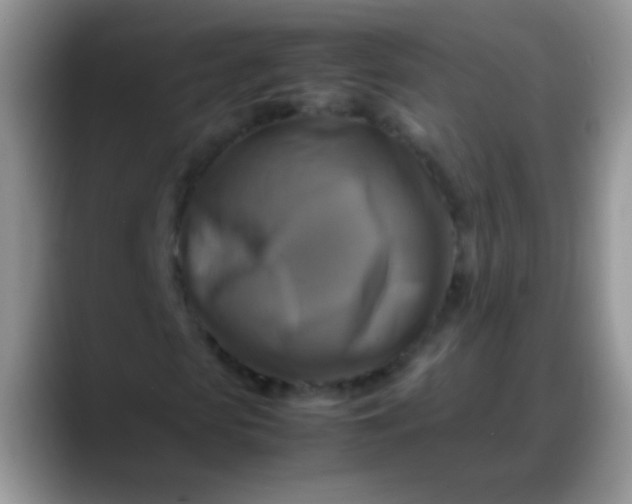 X0000088190913200705292009