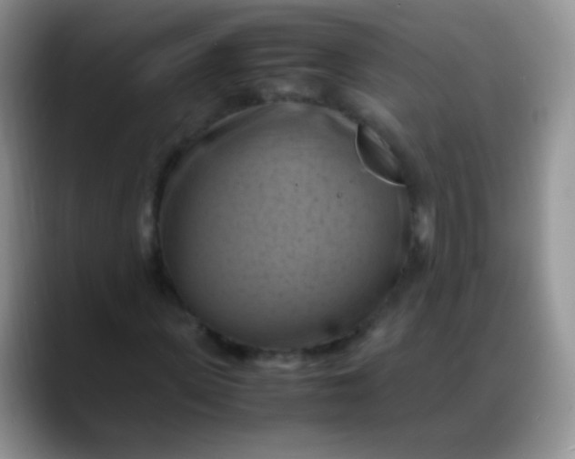 X0000088190915200705292009