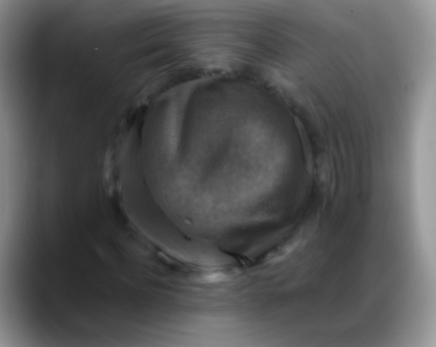 X0000088190916200705292009