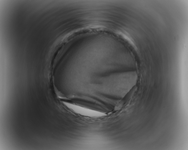 X0000088190920200705292009