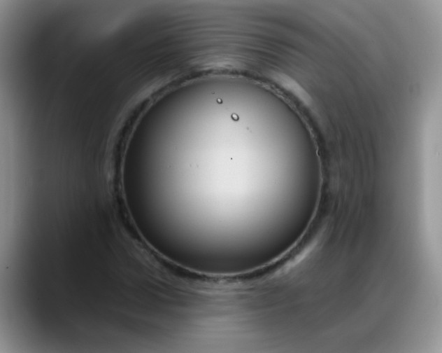 X0000088190922200705292009