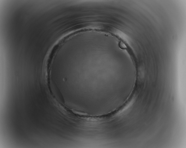 X0000088190923200705292009