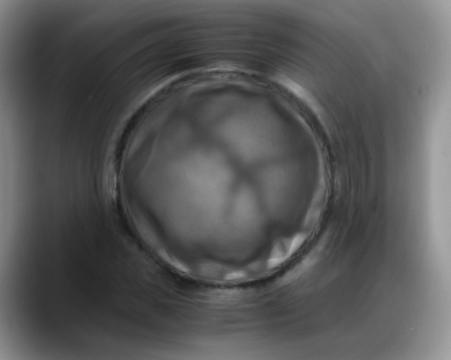 X0000088190925200705292009