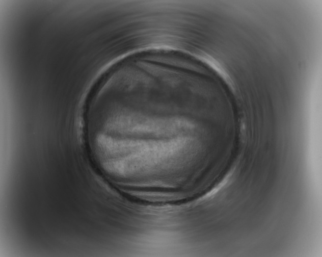 X0000088190926200705292009