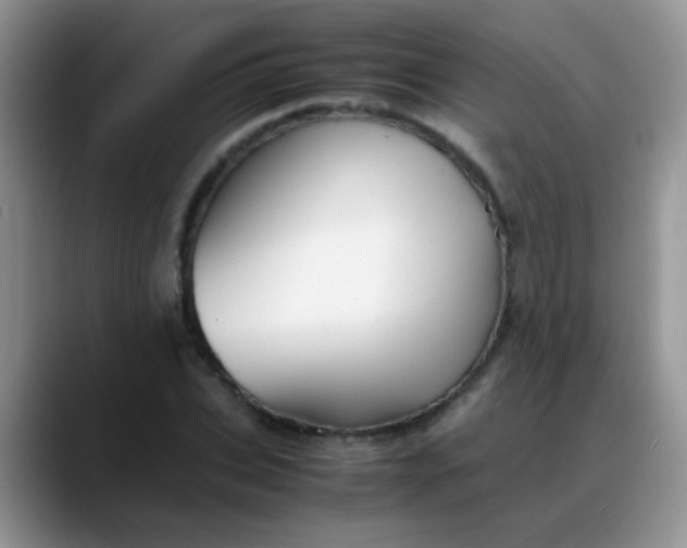 X0000088190927200705292009