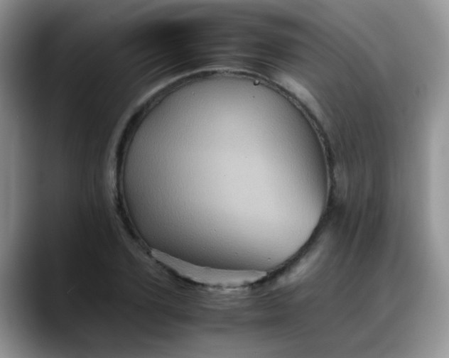 X0000088190931200705292009
