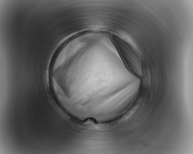 X0000088190932200705292009