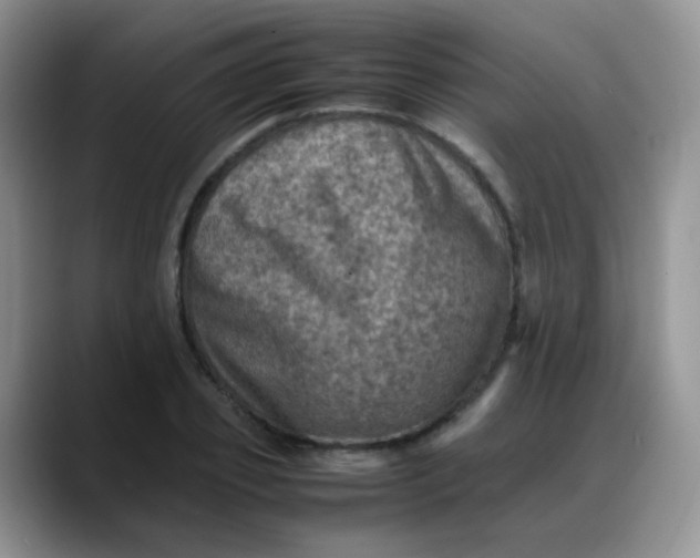 X0000088190933200705292009