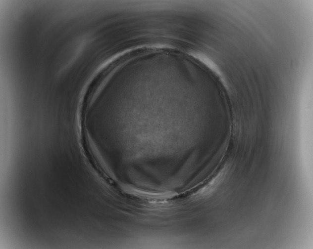 X0000088190935200705292009