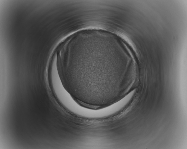 X0000088190936200705292009