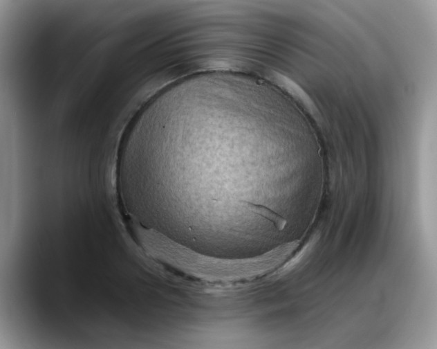 X0000088190938200705292009
