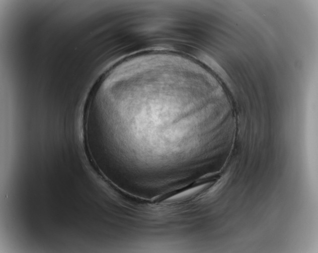 X0000088190939200705292009