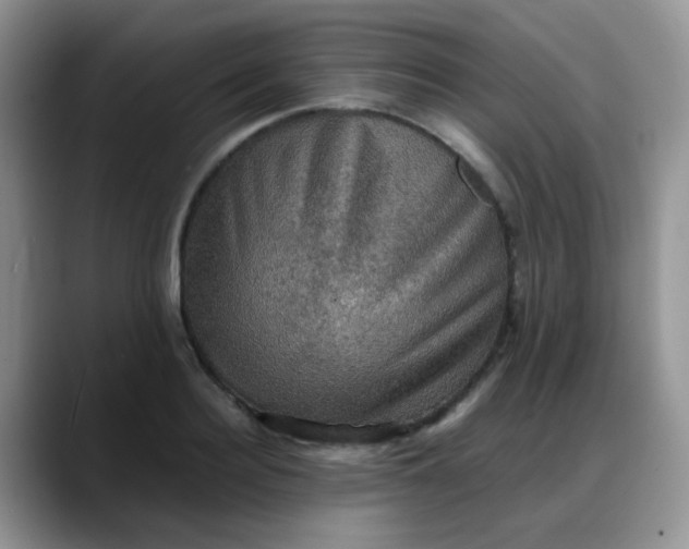 X0000088190940200705292009