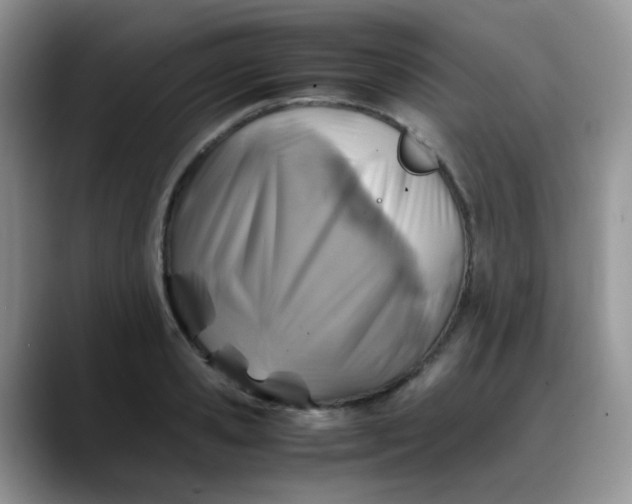 X0000088190941200705292009