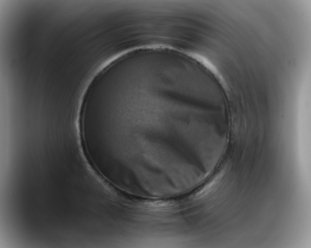 X0000088190943200705292009