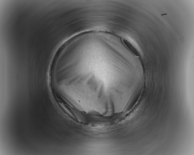 X0000088190944200705292009