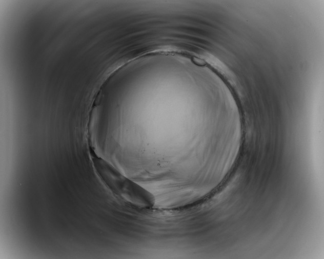 X0000088190945200705292009