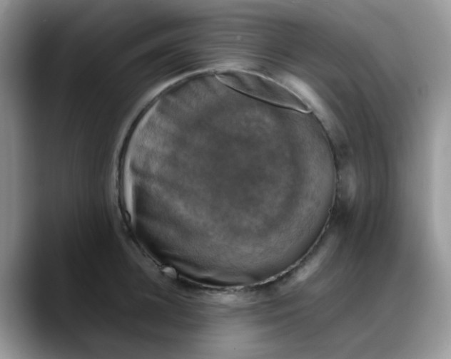 X0000088190948200705292009