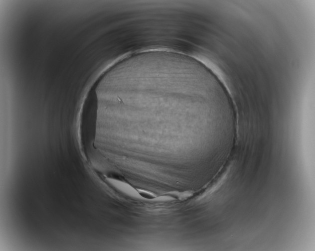 X0000088190949200705292009