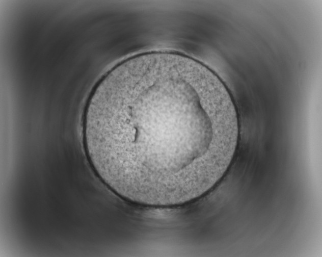 X0000088190950200705292009