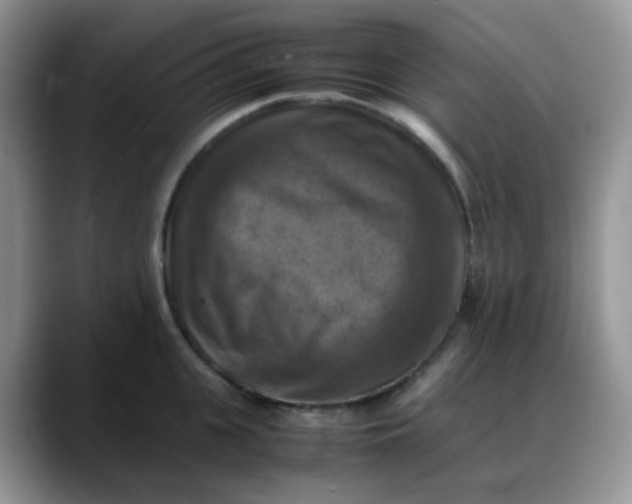 X0000088190951200705292009