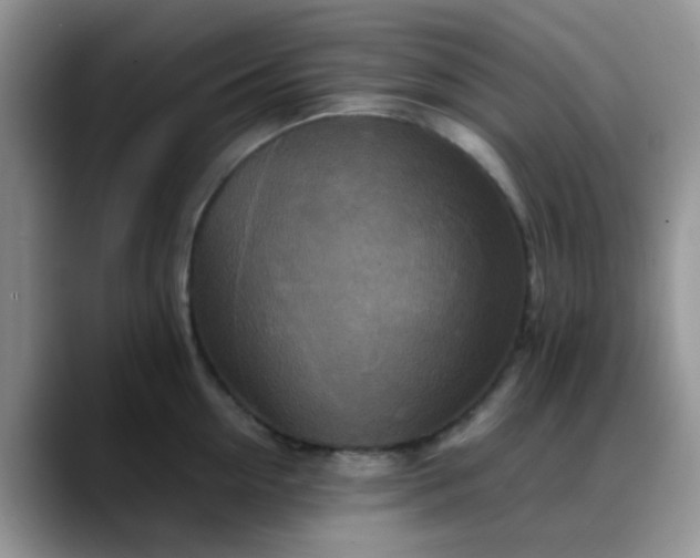 X0000088190954200705292009