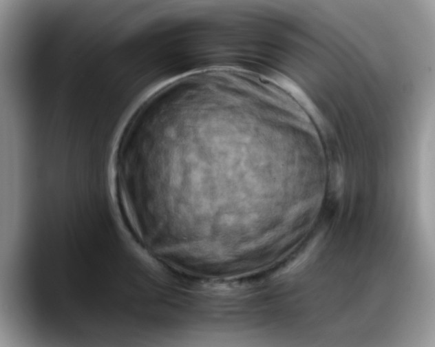 X0000088190955200705292009