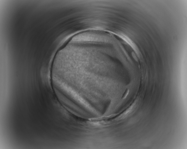 X0000088190956200705292009