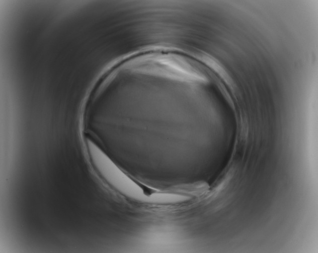 X0000088190958200705292009