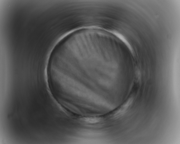 X0000088190959200705292009