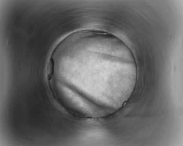 X0000088190960200705292009