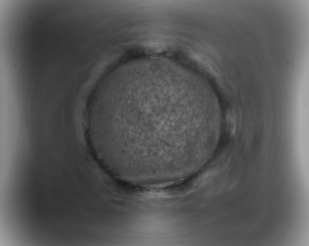 X0000088190961200705292009