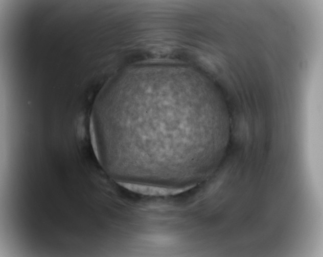 X0000088190962200705292009