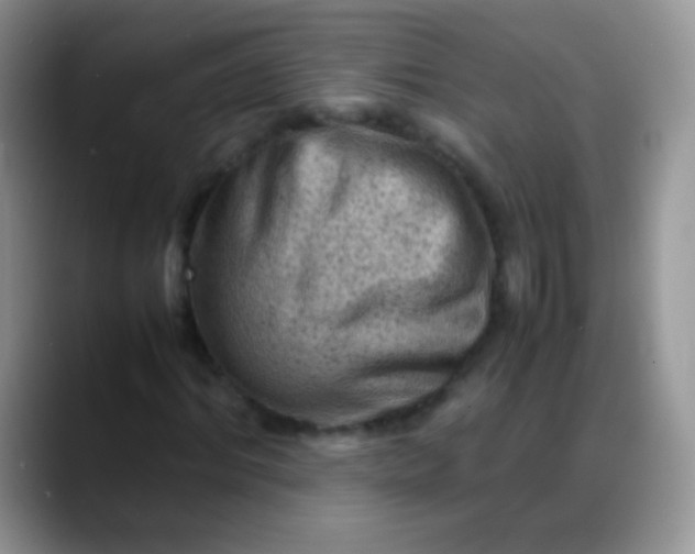 X0000088190964200705292009