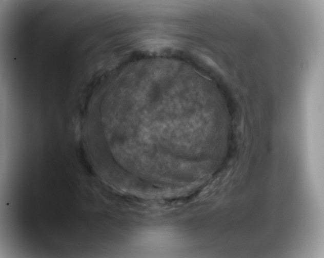 X0000088190965200705292009