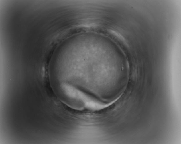 X0000088190966200705292009